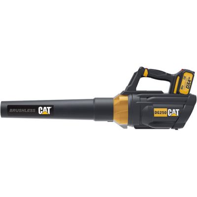 Φυσητήρας Χειρός Μπαταρίας 1x4Ah DG250 CAT